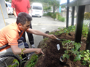 デイサービス活動-園芸